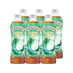 Lốc 6 chai trà bí đao WONDERFARM 440ml