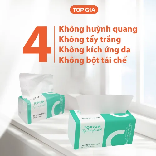 Nguồn hàng sỉ 1 Thùng 20 Gói Giấy Topgia - Giấy Chữ C