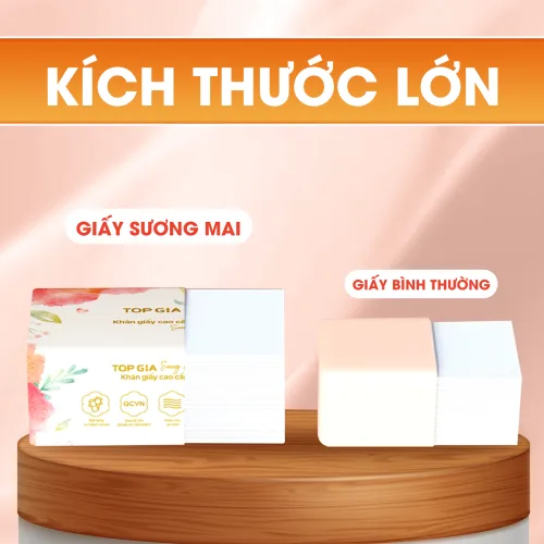 Nơi lấy sỉ 1 Thùng Giấy Ăn 20 Gói Topgia Sương Mai