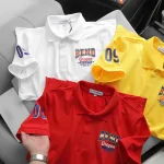 Áo thun nam cổ bẻ CS245 có size 3X, in logo trước ngực và tay áo