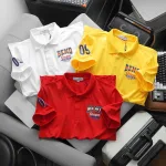 Áo thun nam cổ bẻ CS245 có size 3X, in logo trước ngực và tay áo