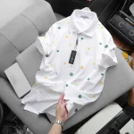 Áo thun polo dành cho nam in họa tiết Tết, có size 3X