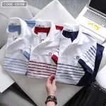 Áo Thun Polo Nam CS154 In Sọc Màu Tay Ngắn, Chất Liệu Thun Cá Sấu Poly Cao Cấp