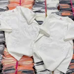 Chuyên sỉ áo Thun Nữ Baby Tee