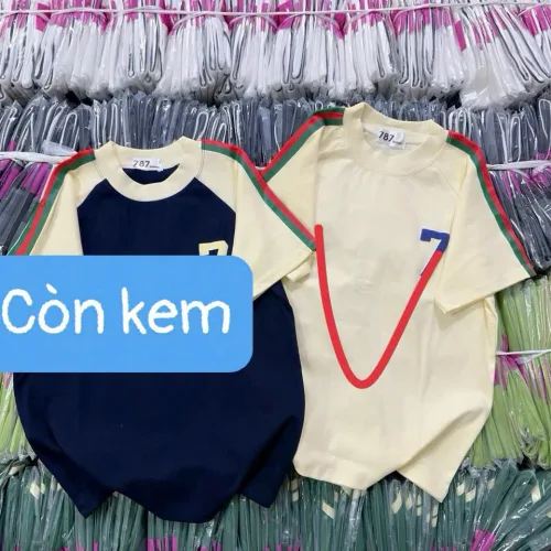 Chuyên sỉ áo Thun Nữ Baby Tee