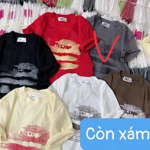 Chuyên sỉ áo Thun Nữ Baby Tee