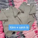 Chuyên sỉ áo Thun Nữ Baby Tee