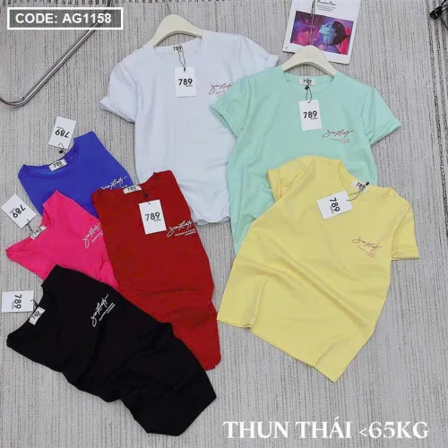 Shop sỉ áo Thun Nữ Cổ Tròn Size M (40-60kg) Nhiều Mẫu 1