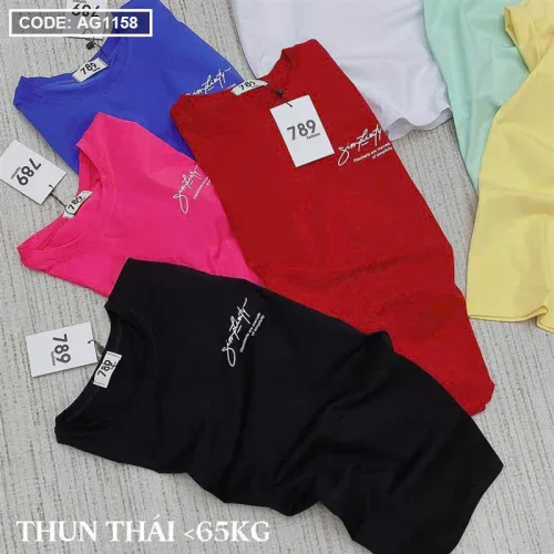Áo thun nữ cổ tròn size M, phù hợp cân nặng 40-60kg, nhiều mẫu