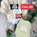 Nơi lấy sỉ áo Thun Nữ Cổ Tròn Size M (40-60kg) Nhiều Mẫu 3