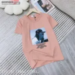 Nơi lấy sỉ áo Thun Nữ Cổ Tròn Size M (40-60kg) Nhiều Mẫu 3