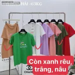 Chỗ sỉ áo Thun Nữ Cổ Tròn Size M (40-60kg) Nhiều Mẫu 5