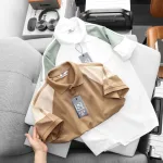 Áo thun polo BigSize nam cho người 50-90kg phối màu ở tay áo