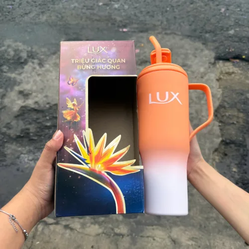 Ly nước Lux có quai cầm và ống hút – một lựa chọn đáng tham khảo trong Đồ dùng nhà bếp