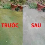 Bột tẩy rong rêu 400g dùng cho sân vườn, chống trơn trượt