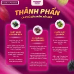Blackberry Coffee Cà Phê Bứa Mâm Xôi Đen 16g x 15 gói