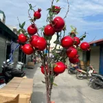 Cành lựu giả 7 trái mọng đỏ cắm bình trang trí
