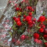 Cành lựu giả 7 trái mọng đỏ cắm bình trang trí