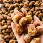 Chà là sấy dẻo 400g, đóng hộp