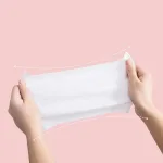 Khăn Giấy Ướt Lau Mặt Cao Cấp, Combo 10 Bịt, 100 Tờ