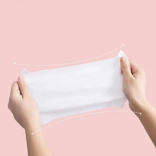 Khăn Giấy Ướt Lau Mặt Cao Cấp, Combo 10 Bịt, 100 Tờ