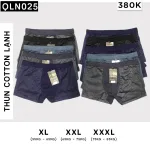 Bộ 10 chiếc quần lót nam dáng đùi thông hơi QLN025