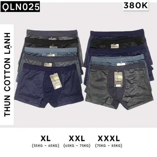 Bộ 10 chiếc quần lót nam dáng đùi thông hơi QLN025