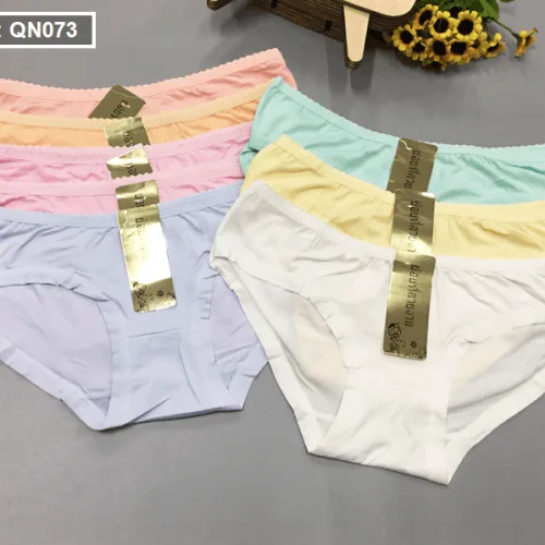 Nơi sỉ combo 10 quần lót nữ