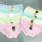 Nơi sỉ combo 10 quần lót nữ