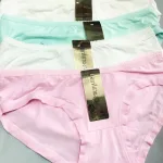 Nơi sỉ combo 10 quần lót nữ