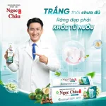 Kem Đánh Răng Dược Liệu Ngọc Châu Chuyên Gia 100g, Combo 2 Tuýp Tặng Bàn Chải