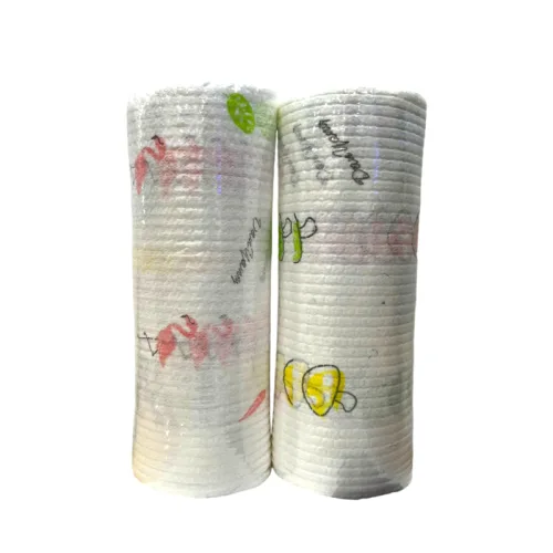 Cho vệ sinh và sắp xếp nhà cửa