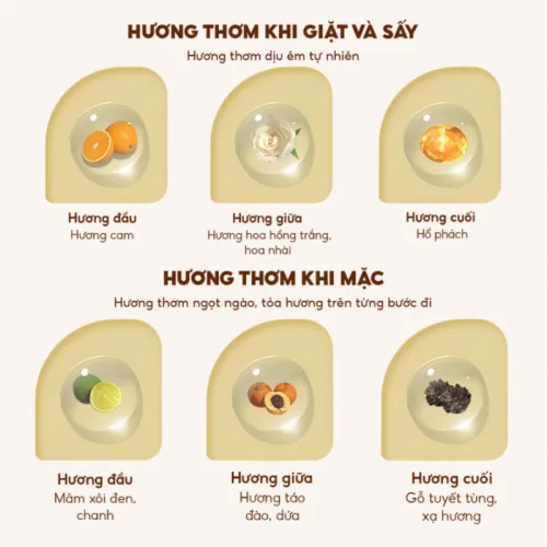 Combo 2 Túi Nước Giặt Xả Top Gia Hương Lavender 3in1 Dịu Nhẹ 2L/Túi