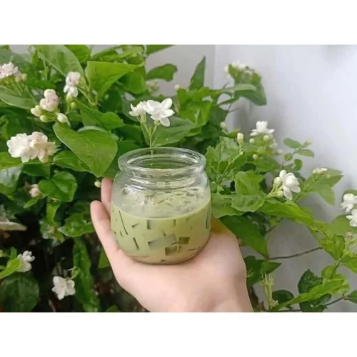 Nguồn hàng sỉ combo 5 Lọ Thủy Tinh Đựng Sữa Chua - Hủ Sữa Chua Béo Ú 200ml