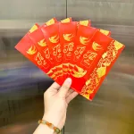Chỗ sỉ combo 100 Bao Lì Xì Tết Bính Ngọ 2026 - Khách Chọn Tối Đa 10 mẫu