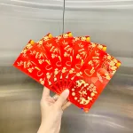 Nguồn hàng sỉ combo 50 Bao Lì Xì Tết Ất Tỵ 2025