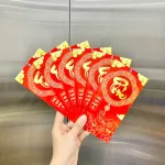 Nguồn hàng sỉ combo 50 Bao Lì Xì Tết Ất Tỵ 2025