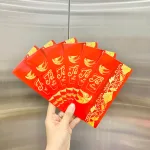 Nguồn hàng sỉ combo 50 Bao Lì Xì Tết Ất Tỵ 2025