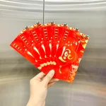 Nguồn hàng sỉ combo 50 Bao Lì Xì Tết Ất Tỵ 2025