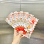 Nguồn hàng sỉ combo 50 Bao Lì Xì Tết Ất Tỵ 2025