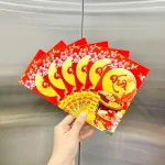Nguồn hàng sỉ combo 50 Bao Lì Xì Tết Ất Tỵ 2025