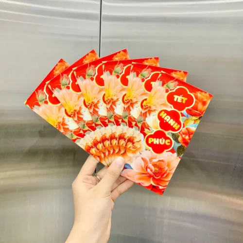 Nguồn hàng sỉ combo 50 Bao Lì Xì Tết Ất Tỵ 2025