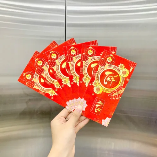 Nguồn hàng sỉ combo 50 Bao Lì Xì Tết Ất Tỵ 2025
