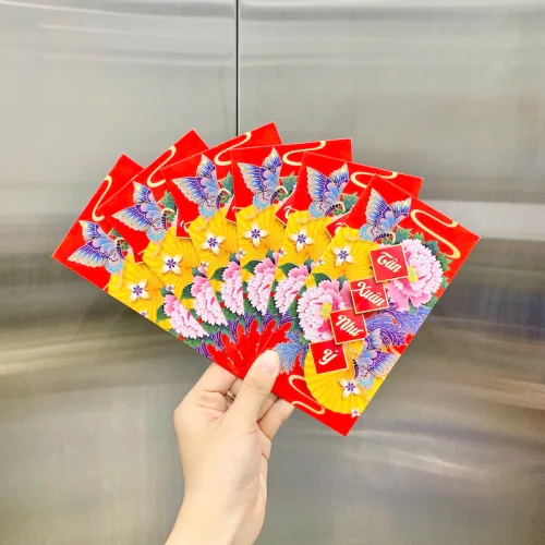 Nguồn hàng sỉ combo 50 Bao Lì Xì Tết Ất Tỵ 2025