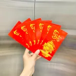 Nguồn hàng sỉ combo 50 Bao Lì Xì Tết Ất Tỵ 2025