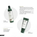 Shop sỉ combo bộ dầu gội xả Weilaiya mọc tóc chiết xuất gừng xả