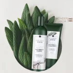 Shop sỉ combo bộ dầu gội xả Weilaiya mọc tóc chiết xuất gừng xả