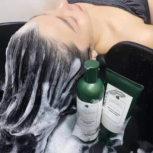 Shop sỉ combo bộ dầu gội xả Weilaiya mọc tóc chiết xuất gừng xả