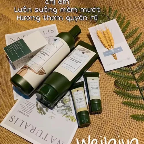 Shop sỉ combo bộ dầu gội xả Weilaiya mọc tóc chiết xuất gừng xả
