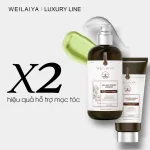 Bộ Weilaiya Zingiber X2 Ginger Essence Gội Xả Gừng Nâu